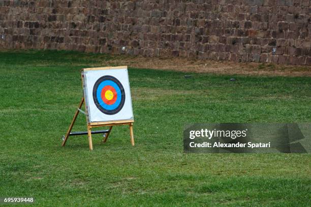 target for arrows standing on a grass field - tiro con l'arco foto e immagini stock