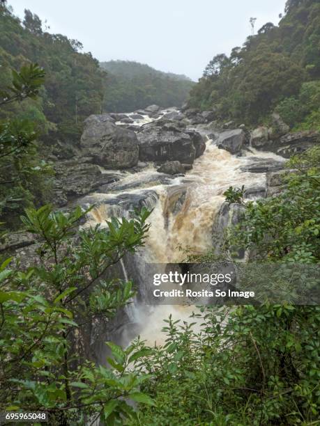 chute andriamamovoka waterfall, madagascar - ranomafana stock pictures, royalty-free photos & images