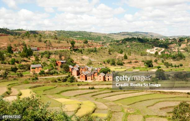 trano gasy or malagasy house and rice terraces, madagascar - antananarivo 個照片及圖片檔
