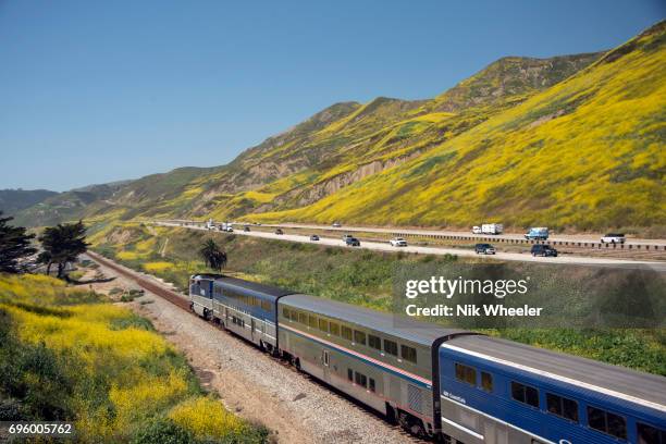 An Amtrak Surfliner passenger train runs along track parallel to Pacific Ocean and spring flower lined hills of Highway 101 along the California...