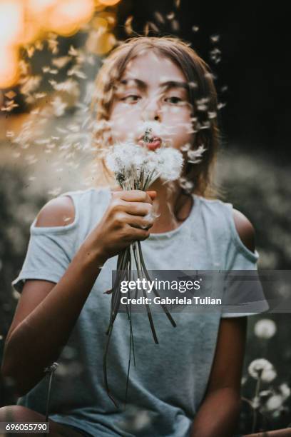 young girl blowing a dandelion at sunset - child dandelion stockfoto's en -beelden