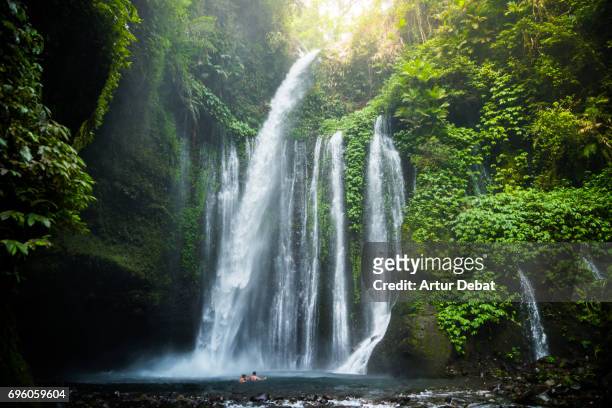 traveler couple swimming in the beautiful wild waterfall in the deep rain forest of the national park of the lombok island taken during travel vacations in indonesia. - lombok bildbanksfoton och bilder