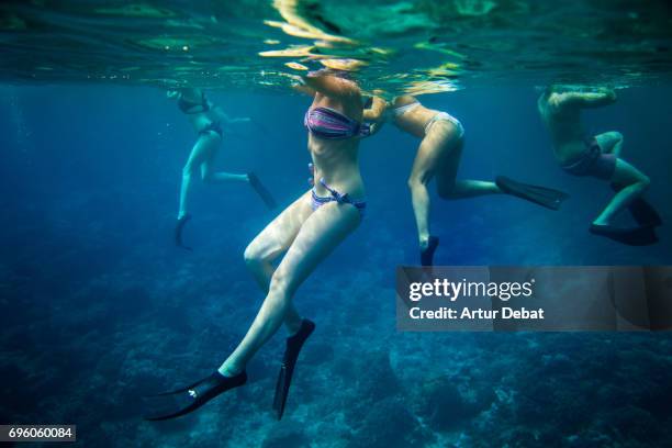 group of traveler people doing snorkel in the gili islands a paradise in the indonesia during travel vacations in the islands. - lombok bildbanksfoton och bilder