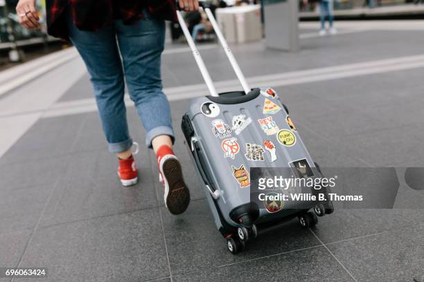 close up of traveller"u2019s suitcase - s the adventures of rin tin tin stockfoto's en -beelden