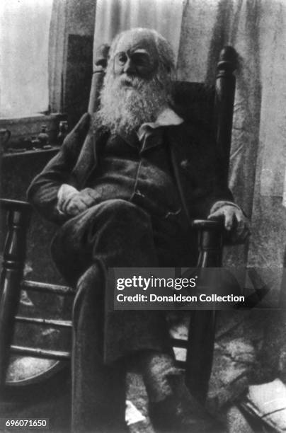 Poet Walt Whitman poses for a portrait in 1887.