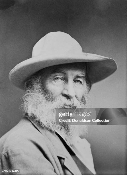 Poet Walt Whitman poses for a portrait in 1879.