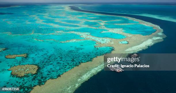 aerial image, great barrier reef, australia - great barrier riff stock-fotos und bilder