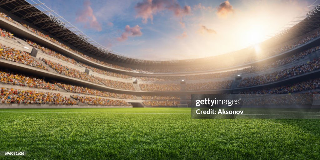 3D soccer stadium