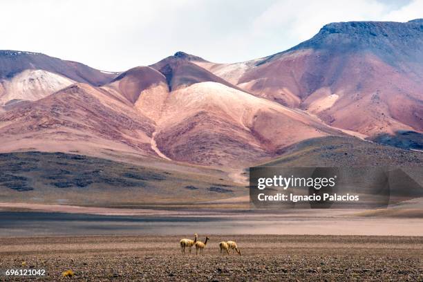 desierto siloli, seven hills mountain, bolivian altiplano - altiplano imagens e fotografias de stock