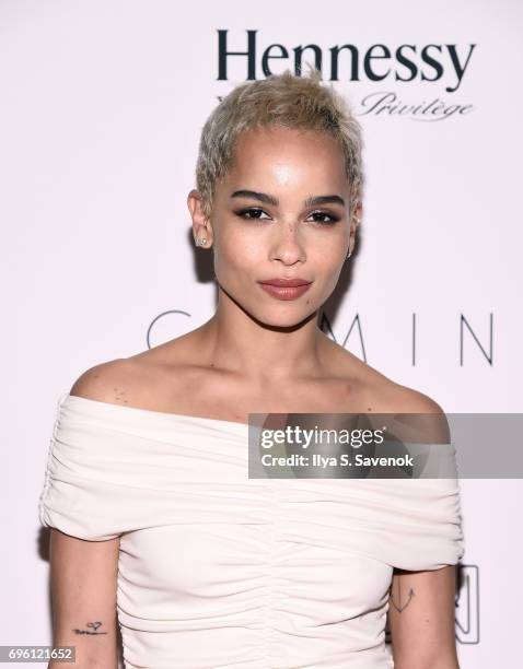 Zoe Kravitz attends BAMcinemaFest 2017 Opening Night Premiere Of "Gemini" at BAM Harvey Theater on June 14, 2017 in New York City.