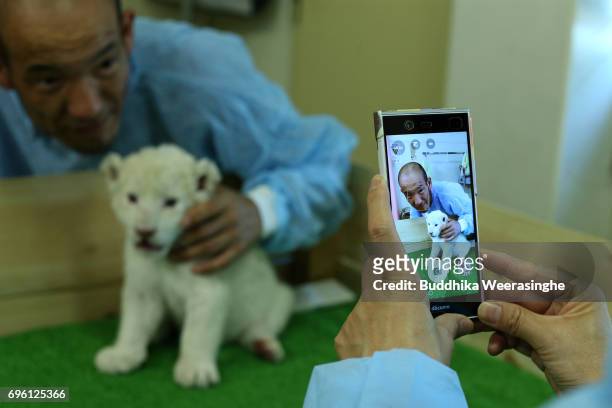 Japanese lion fan plays with newly born twin white lion cub as poses a picture during the fifth day of Lion Cub Premium Tour program at an animal...