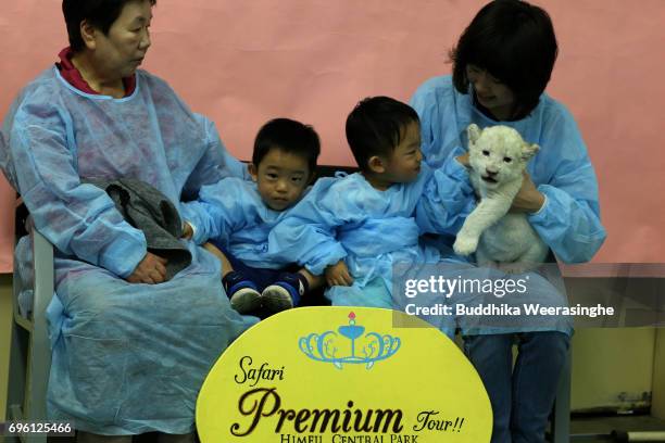 Japanese family plays with newly born twin white lion cub during the fifth day of Lion Cub Premium Tour program at an animal hospital at the Himeji...