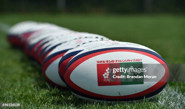 Tokyo , Japan - 15 June 2017; A match ball with the Japan and Ireland rugby union logos during an Ireland rugby squad training session in Tokyo,...