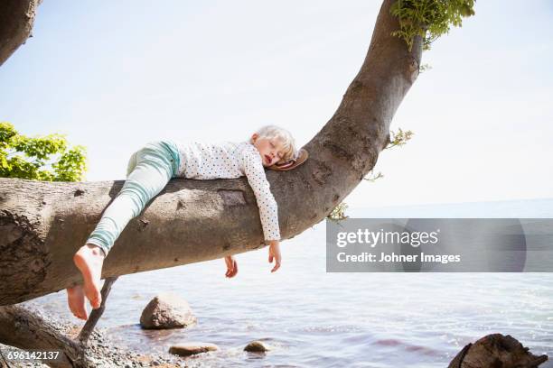 young girl sleeping on branch by sea - kind schlafen stock-fotos und bilder