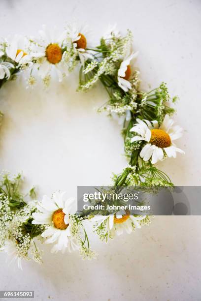 flower wreath on white background - floral wreath bildbanksfoton och bilder