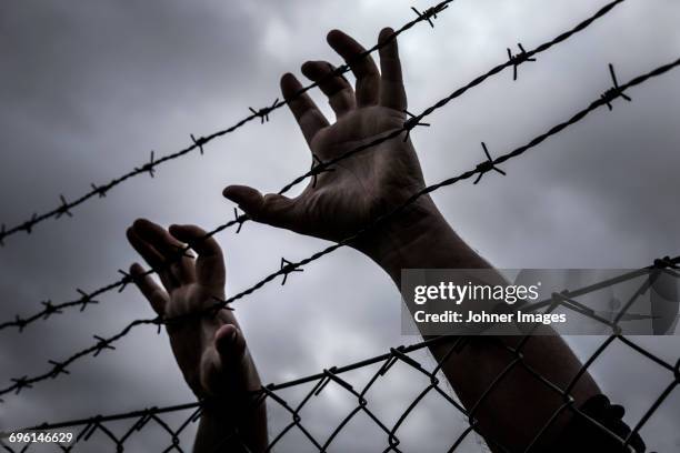 hands on barb wire - escape stock pictures, royalty-free photos & images