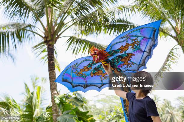 teenage boy with kite - indonesian kite stock pictures, royalty-free photos & images