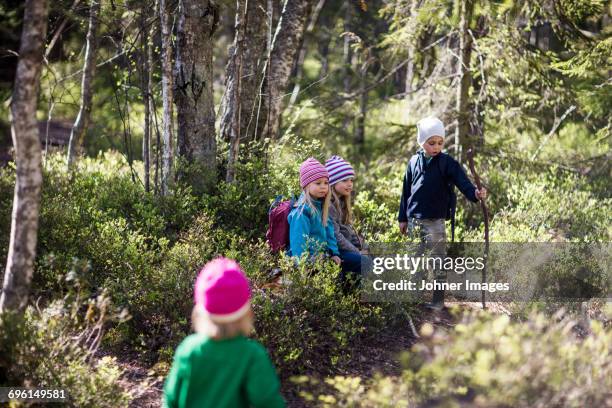 children in forest - lane sisters stockfoto's en -beelden