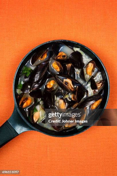 mussels in saucepan - mussels bildbanksfoton och bilder