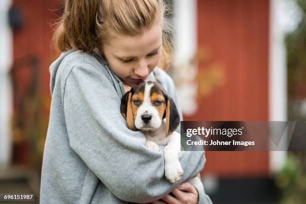 girl with puppy - hound stock pictures, royalty-free photos & images