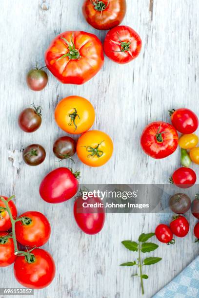 various tomatoes on table - beefsteak tomato stock pictures, royalty-free photos & images