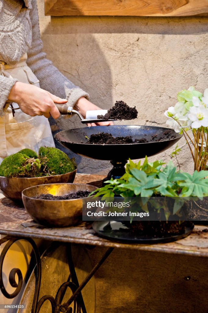 Woman planting flowers in pot