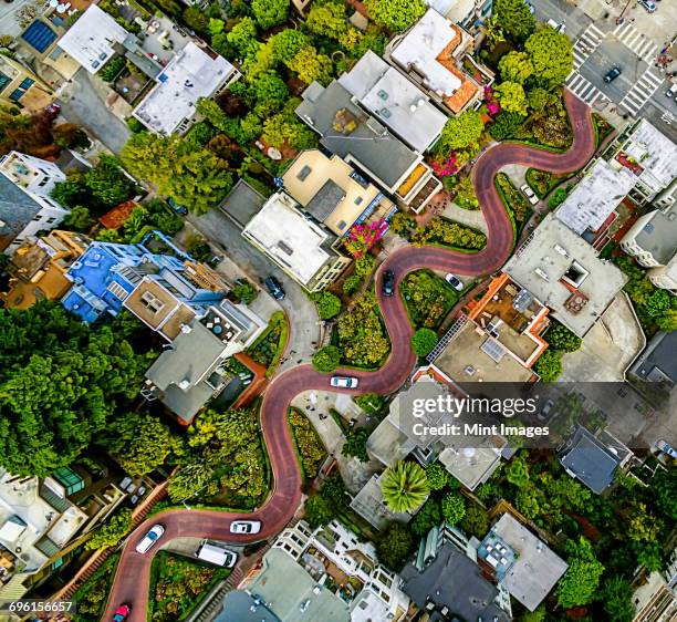 aerial view of a residential city area, with road descending a hillside with eight hairpin turns. - san francisco street stockfoto's en -beelden