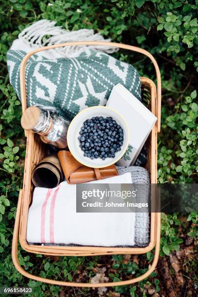 picknick, basket - picnic basket stock pictures, royalty-free photos & images