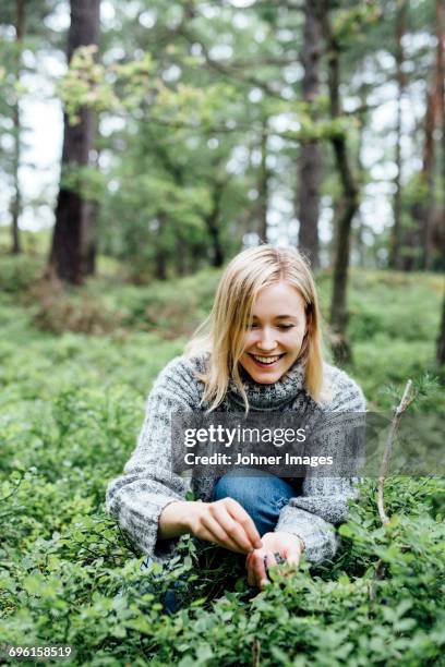 woman picking blueberrys - plucking bildbanksfoton och bilder