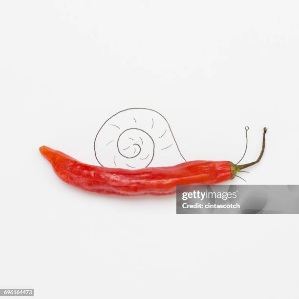 conceptual snail - snail stock illustrations