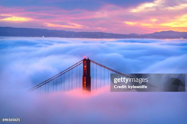 golden gate bridge in fog, san francisco, california, america - golden gate bridge city fog stock-fotos und bilder