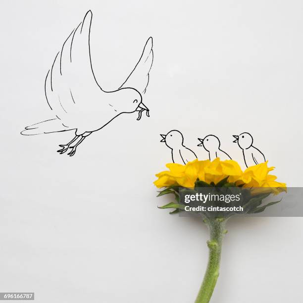 conceptual bird feeding chicks in a nest - sonnenblume stock-grafiken, -clipart, -cartoons und -symbole