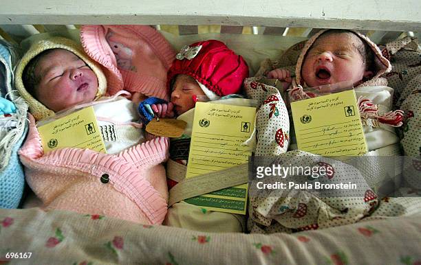 Afghan newborns sleep together in a large crib in order to keep warm February 11, 2002 in a maternity ward at the Malalai hospital in Kabul,...