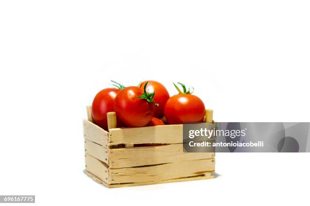 crate of tomatoes - crate - fotografias e filmes do acervo