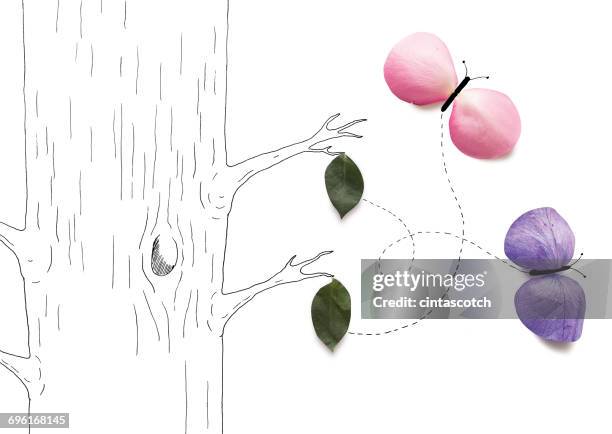 conceptual butterflies emerging from chrysalis on a tree - cocoon illustration stock illustrations