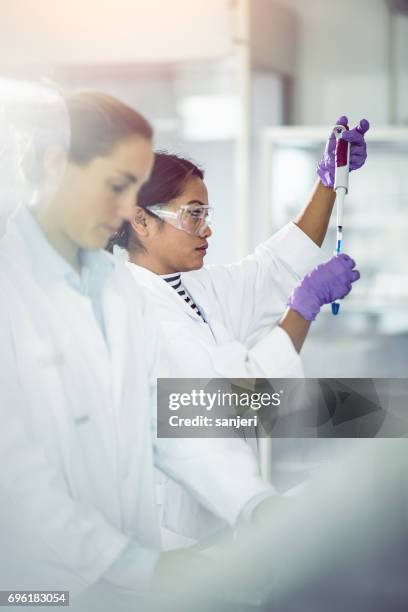 scientist pipetting into a test tube - químico imagens e fotografias de stock
