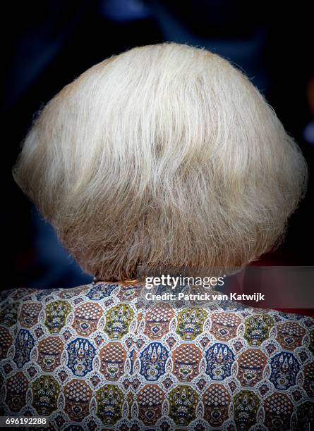 Princess Beatrix of The Netherlands arrives at the Royal Palace for the annual palace symposium on June 15, 2017 in Amsterdam, Netherlands. Theme of...