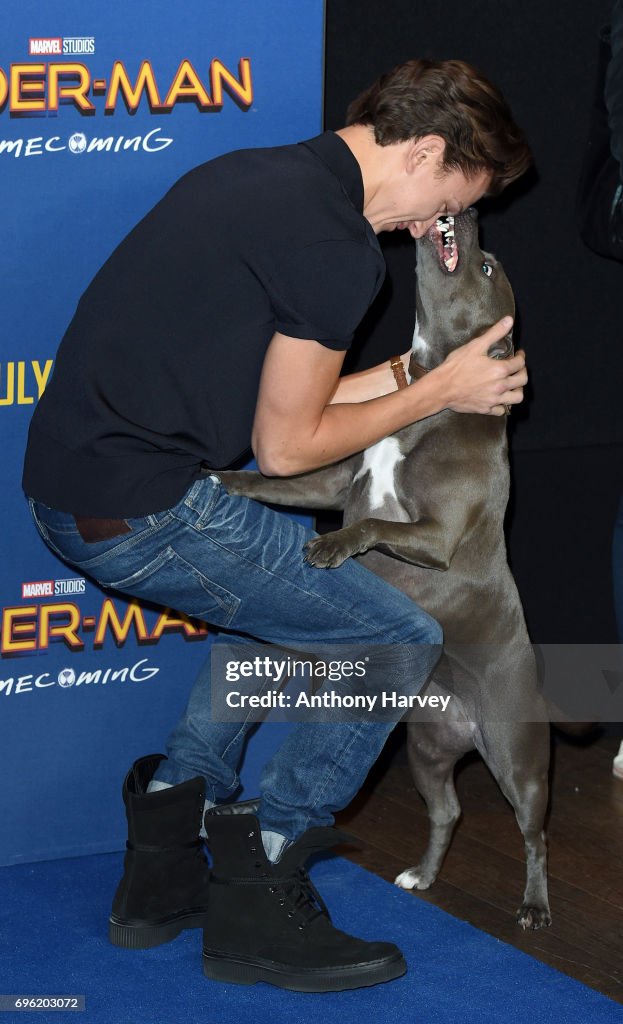 "Spider-Man: Homecoming" Photocall