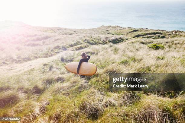 heading down through the marin grass and long sand dune bowls to the sea - summer heading stock pictures, royalty-free photos & images