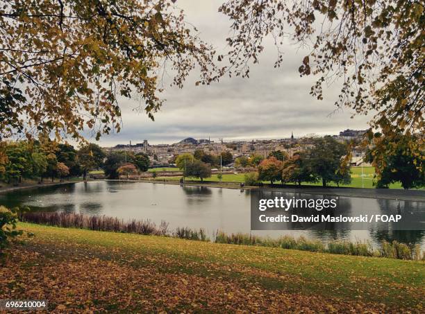 trees reflecting in lake - maslowski photos et images de collection