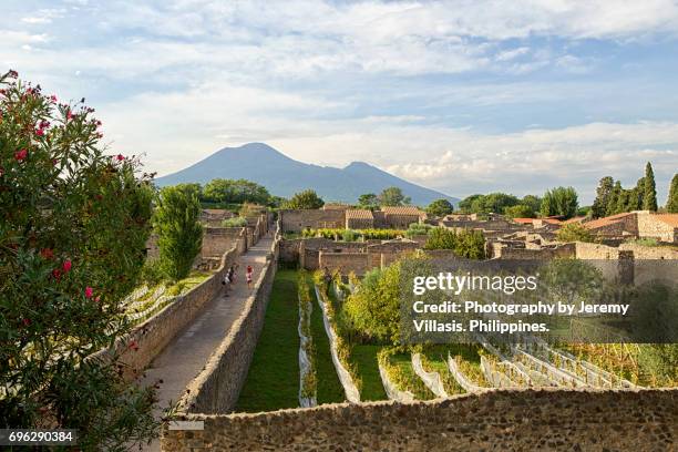 vineyard in pompeii - vesuvio fotografías e imágenes de stock