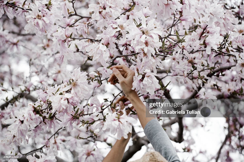 Young woman near the blooming tree in spring time