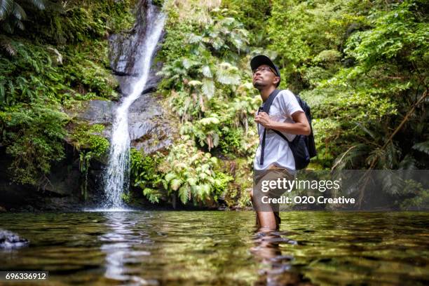 exploring a tropical rainforest in okinawa japan - okinawa prefecture stock pictures, royalty-free photos & images