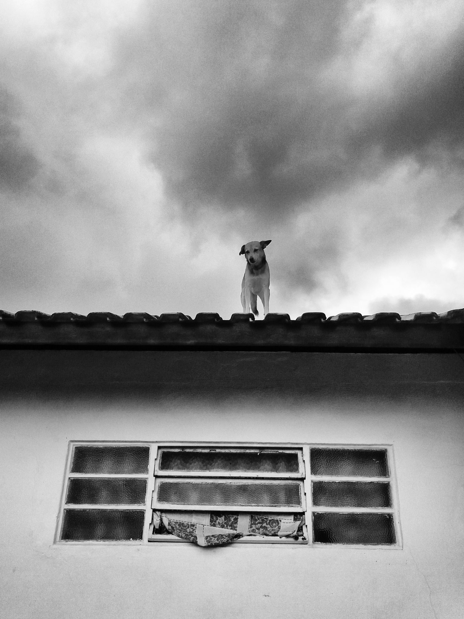 telhado casa