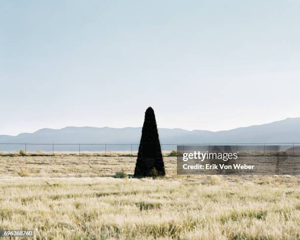 monument at trinity site in new mexico - white sands missile range stock pictures, royalty-free photos & images
