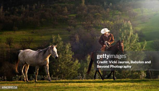 cowboy with white hat and wild horse - imbracatura di pelle foto e immagini stock