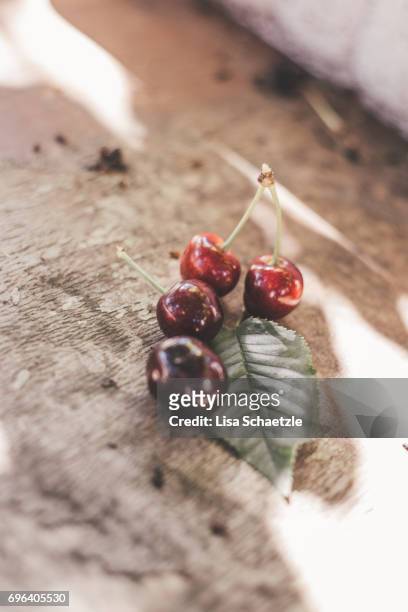 fresh cherries - obstbaum stock pictures, royalty-free photos & images