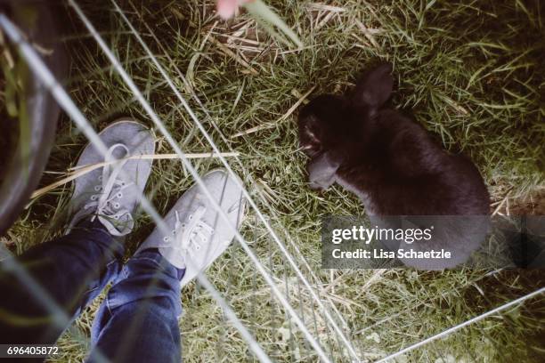 low section view of a woman standing outside beside a rabbit - eine frau allein fotografías e imágenes de stock