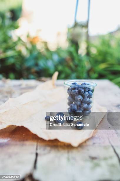 blueberries - speisen - fotografias e filmes do acervo