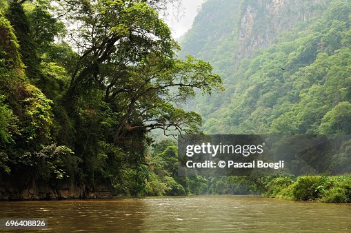 River and tropical forest, Ba Be National Park, north Vietnam River and tropical forest, Ba Be National Park, north Vietnam